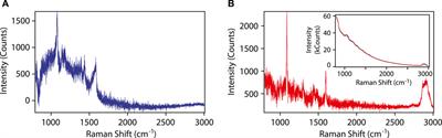 Remote Chemical Sensing by SERS with Self-Assembly Plasmonic Nanoparticle Arrays on a Fiber